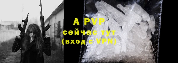 прущие крисы Арсеньев