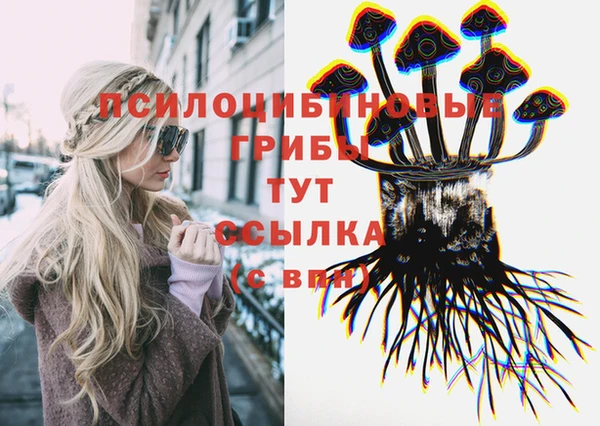 прущие крисы Арсеньев